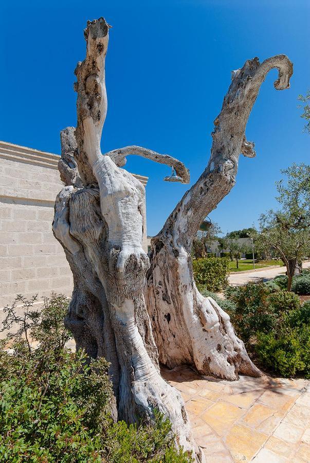 Masseria Torre Del Diamante Torre Canne Exterior foto